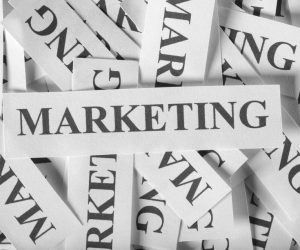 Sejal | Social Media Marketer